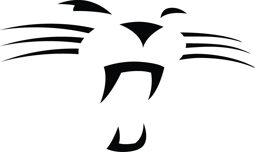 Carolina Panthers 2012-Pres Alternate Logo iron on transfers for fabric version 2